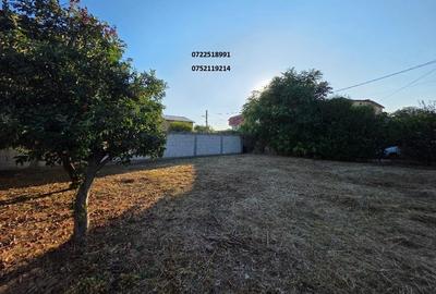 Dr. Taberei, Ghencea teren intravilan, 600 mp - 6