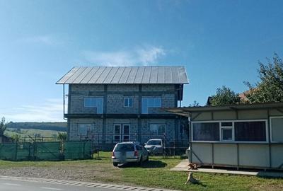 Vila in Rusii Manastioara - 8