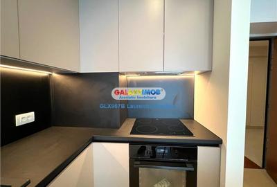 2 camere - Aviatiei Tower, Floreasca, Herastrau, Promenada - 8