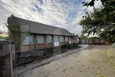 Casa 4 camere cu teren de 3892 mp - 14