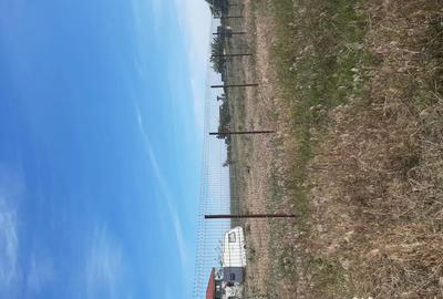 Teren de 2000 mp, în Vadu