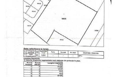 Teren de 4654 mp, în Radu Negru - 1