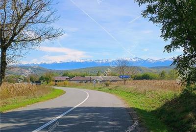 Teren pretabil investitie in Daia judet Sibiu - 13