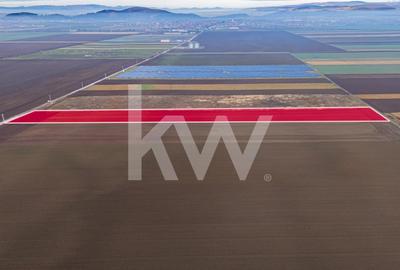 Teren Construcții intravilan de 16000 mp, în Hărman - 2