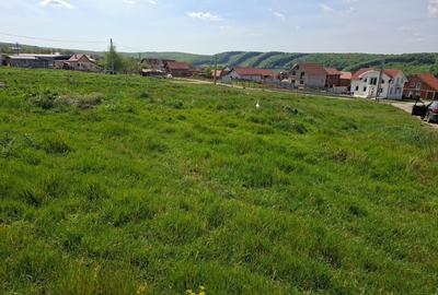 Spațiu comercial, în Betfia - 2