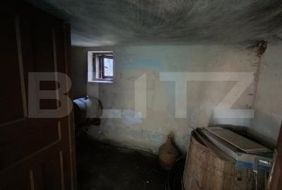 Casă cu 2 camere cu Teren 3350 Mp în Aghireș - 12