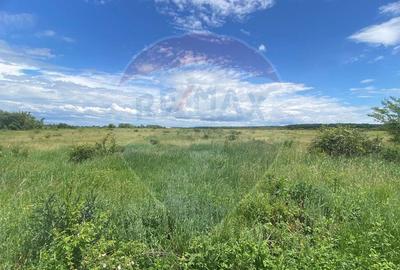 DE VANZARE Teren intravilan 600mp Drumul Piscul Mosului S... - 34