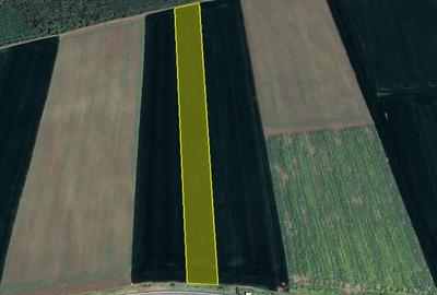 Teren Vanzare Intravilan Branesti - Investitie Zona Industriala Vis a Vis Makita - 17