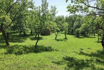 Rezervat - 5