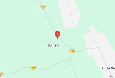 Teren extravilan de 10000 mp, în Spineni - 1