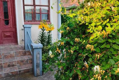 Casă cu 2 camere în Central - 8