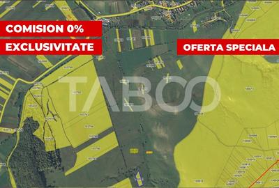 Teren extravilan 2900 mp pretabil pentru investitie zona Lovnic
