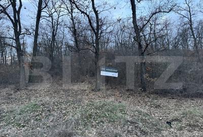 Teren de 50000 mp, în Central