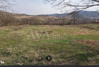 Spațiu comercial, în Luncani