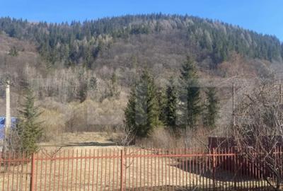 Casă cu 7 camere cu Teren 2000 Mp în Central - 11