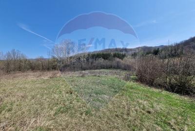 Teren Construcții intravilan de 9428 mp, în Podiș - 7