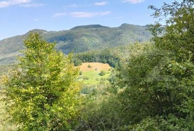 Spațiu comercial, în Poiana Ampoiului - 12