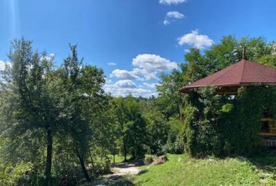 Casă cu 7 camere cu Teren 17000 Mp în Cărbunari - 15