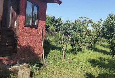 Teren de 1600 mp, în Potoceni - 8
