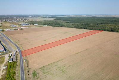 Teren Vanzare Intravilan Branesti investitie Zona Industrial - 25