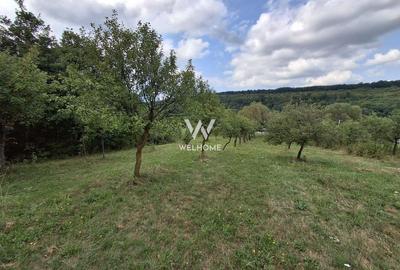 De vânzare teren extravilan în Sibiel, jud. Sibiu - 3223 mp - 3