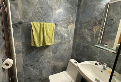 Apartament cu 3 camere decomandat, mobilat în Politehnica - 12