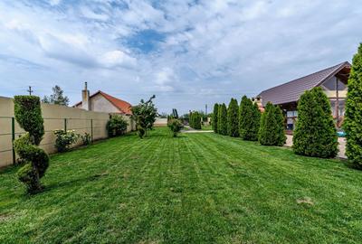 Casă individuală cu 4 camere cu Piscina în Secusigiu - 13