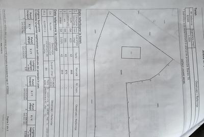 Casă cu Teren 1829 Mp în Erbiceni - 5