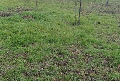 Spațiu comercial, în Ionești - 3