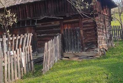 2 camere, 4000 mp,langa lacul Vidraru - 10