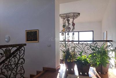 Casă cu 8 camere cu Teren 2500 Mp în Samurcași - 10