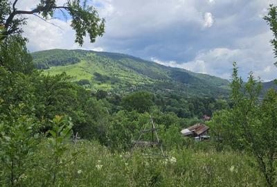 Teren agricol intravilan de 2300 mp, în Valea Doftanei