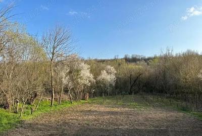 Teren de 1323 mp, în Vârvor - 2