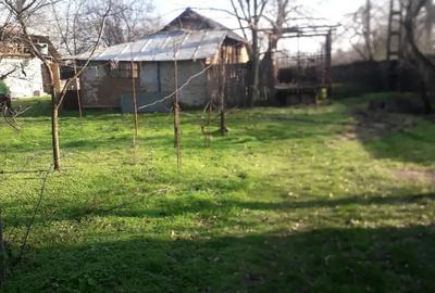 Vand Casa batraneasca in comuna Popesti-Palanga ,Arges - 2