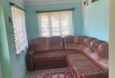 Casă cu 2 camere în Alimpești - 6