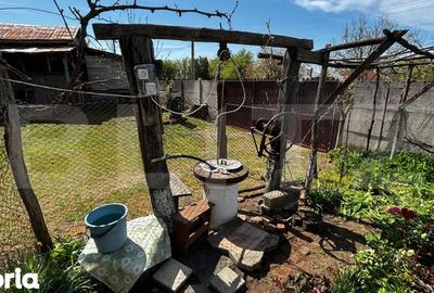 Casă cu 3 camere cu Teren 4200 Mp în Melinești - 12