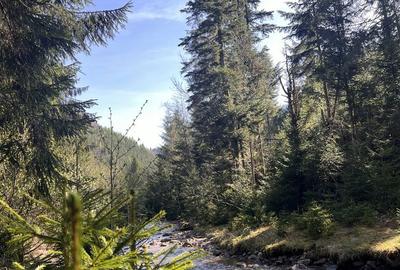 Spațiu comercial, în Vale - 3