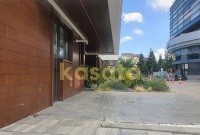Apartament 4 camere de inchiriat IMA Residence, Ianc...