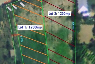 Spațiu comercial, în Tomești - 3