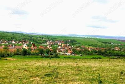 Teren de 2400 mp, în Șura Mică - 3