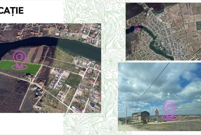 Teren în Mogoșoaia - 1