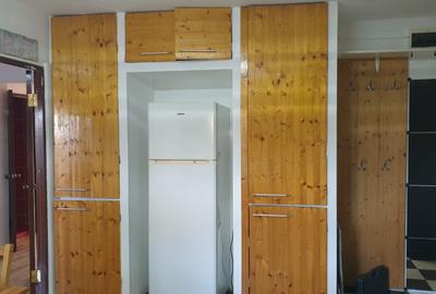 RAHOVA ,PETRE ISPIRESCU ,ADIACENT , APARTAMENT INCHIRIERE - 9