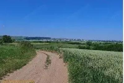 Teren extravilan Bosanci, ID: R2649420 - 6