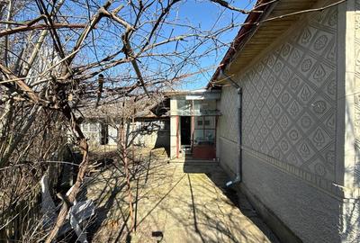 Casă individuală cu 5 camere cu Teren 5588 Mp în Bordeasca Nouă - 3