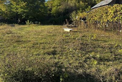 Spațiu comercial, în Doicești - 7