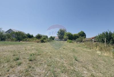 Teren 2,841mp Apateu / Strada Principala langa Biserica Ortodoxa - 7
