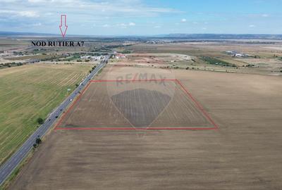 Teren agricol extravilan de 27500 mp, în Tișița - 2