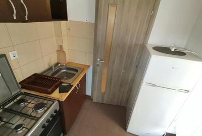 Apartament cu 2 camere semidecomandat în Turnișor - 13