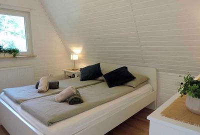 Casă cu 3 camere cu Teren 900 Mp în Central - 8