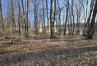 Teren cu sufrafata de 1100 mp in Padurea Faget - 5